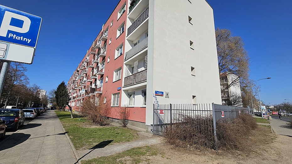 Szczury przy Rydygiera. "Chodzą jak tłuste koty"