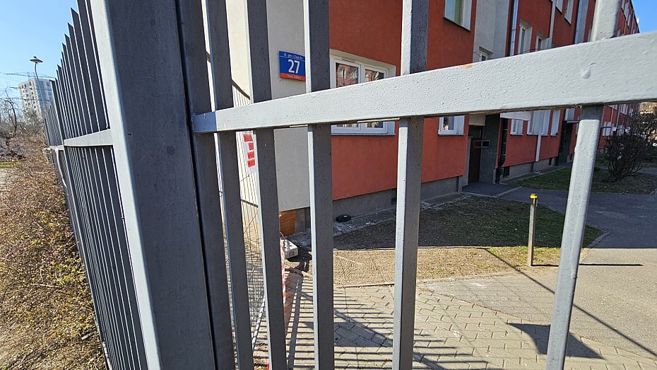 Szczury przy Rydygiera. "Chodzą jak tłuste koty"