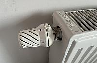 Jedni grzeją, inni... mniej. Co na to WSM?