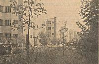 Z kronik WSM. O czym czytali spółdzielcy w grudniu 1931 roku?