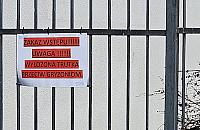 Szczury przy Rydygiera. "Chodzą jak tłuste koty"